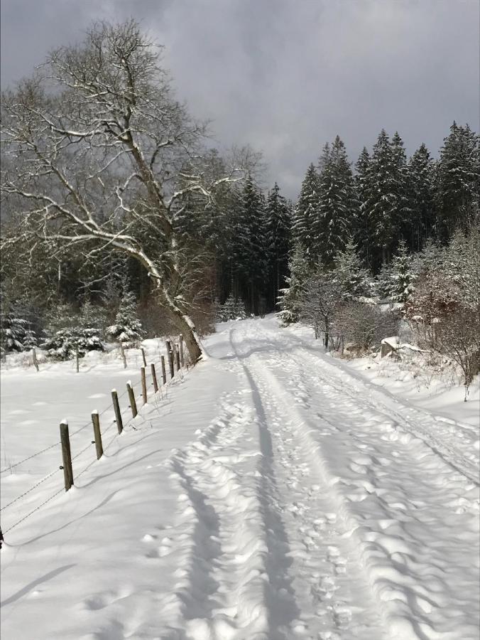 Ferienwohnung Gretel Von Birne Winterberg Luaran gambar
